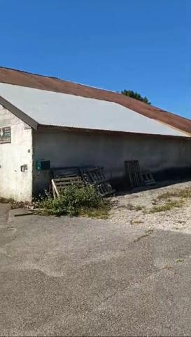 Saint-Germain-sur-Rhône (74910) Grange sur terrain 1550 m2