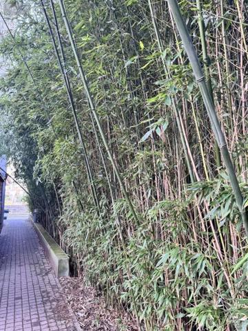 Appartement à vendre à Rennes en Ille-et-Vilaine (35000), ref : 028-1335