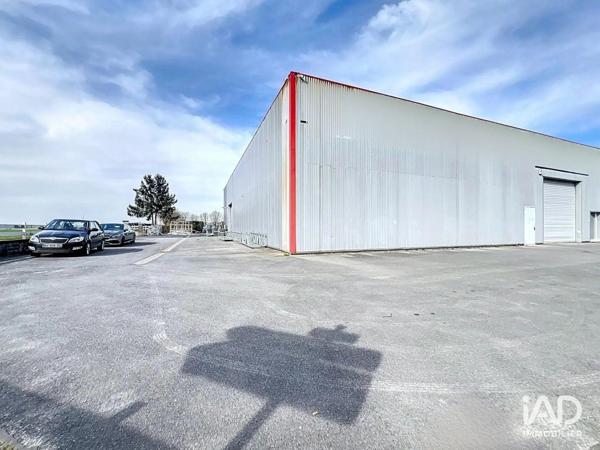 Location local d’activité 1 345 m² Chevry-Cossigny