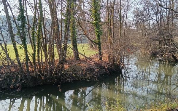 Maison à vendre    5 pièces • 115 m2 Illfurth