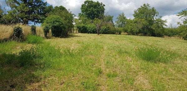 Maison à vendre à Mennetou-sur-Cher dans le Loir-et-Cher (41320), ref : 41036/2881