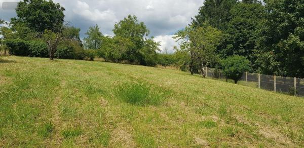 Maison à vendre à Mennetou-sur-Cher dans le Loir-et-Cher (41320), ref : 41036/2881