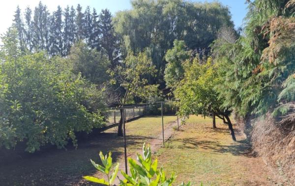 Vente Maison à rafraîchir Dieuze   