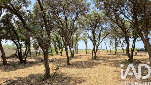 Terrain à vendre 820 m² Bédarrides