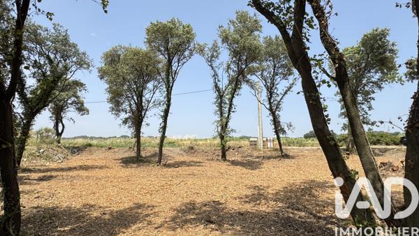 Terrain à vendre 820 m² Bédarrides