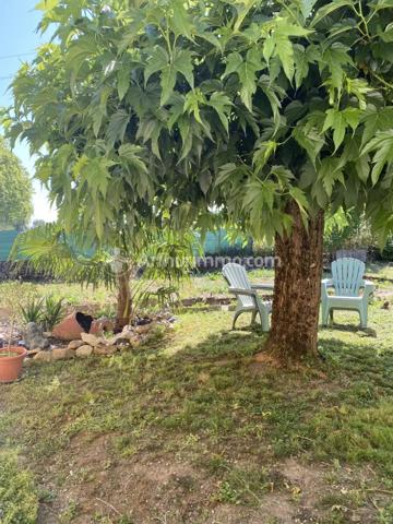 Vente                                                      Maison de village
                        
                     6 pièces                      110 m2                     à Briatexte