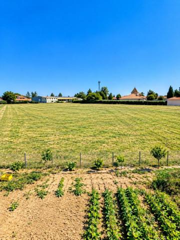 Terrain constructible