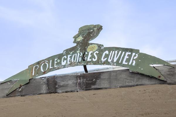 Ancienne école circulaire de 1954 à ré-inventer