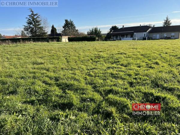 Vente                                                      Terrain
                        
                                         1276 m2                     à Virazeil