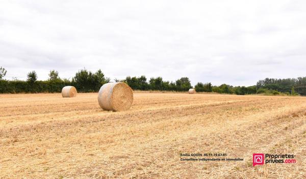 Grange  1 pièce(s) 350 m2