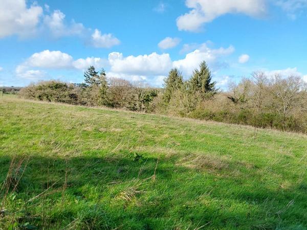 Maison Carnoet 6 pièce(s) 120 m2