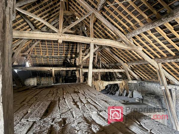 Maison Essoyes 15 pièce(s) 400 m2