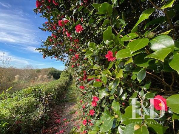 Maison de maître avec dépendances