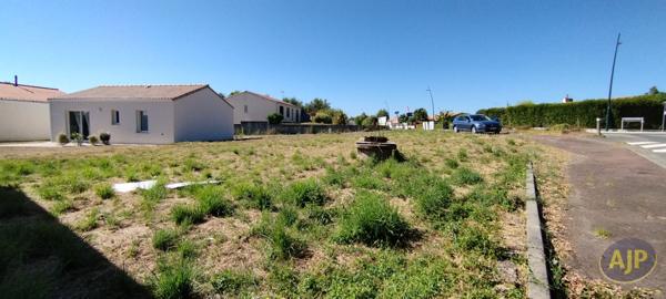 Vente terrain Bellevigny : 89 500 € - AJP Immobilier Vieillevigne