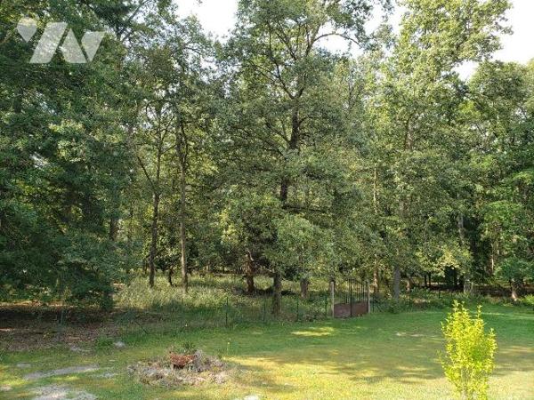 À vendre à Pruniers-en-Sologne ? Propriété de charme au c?ur d'un parc de 2 hectares, nichée da...