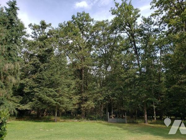 À vendre à Pruniers-en-Sologne ? Propriété de charme au c?ur d'un parc de 2 hectares, nichée da...