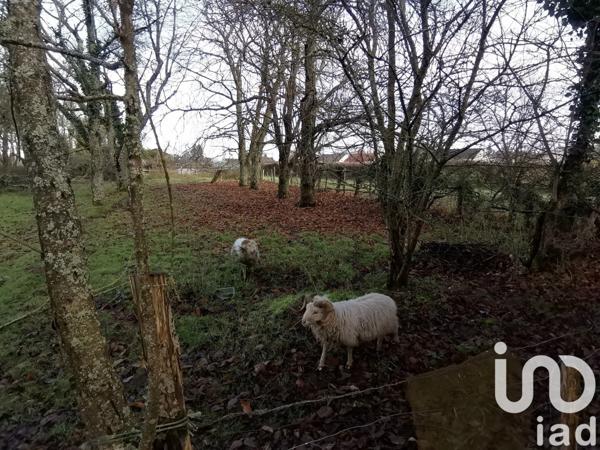 Maison 4 pièces de 88 m² à Aigurande (36140)