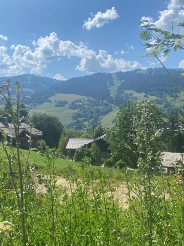 Terrain avec permis pour 2 chalets Megeve