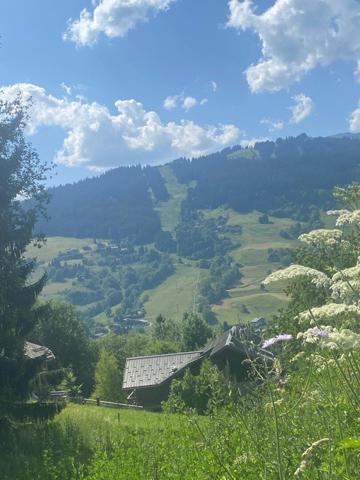 Terrain avec permis pour 2 chalets Megeve