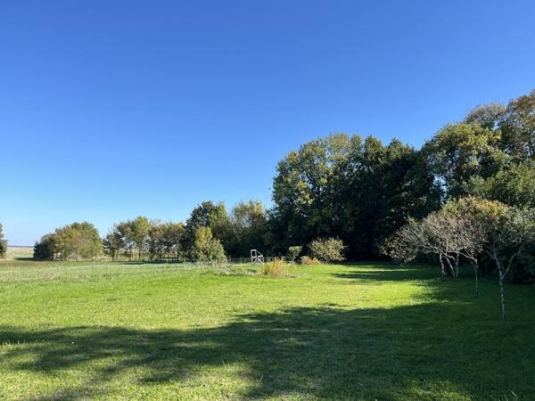 Terrain à vendre |  Médis |  1518 m²