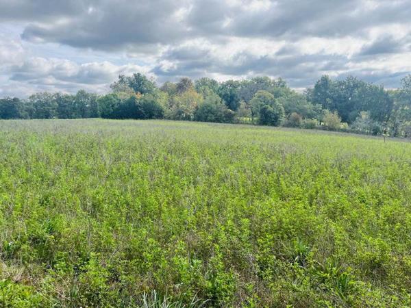 Terrain à vendre |  Le Vigan-en-Quercy |  5564 m²