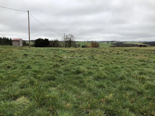 Vente Terrain 13500 m2 à Bellegarde-Marsal