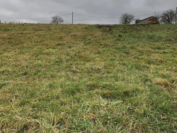 Vente Terrain 13500 m2 à Bellegarde-Marsal