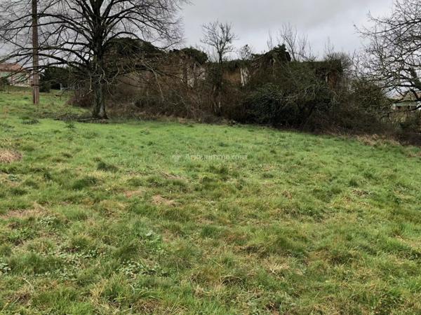 Vente Terrain 13500 m2 à Bellegarde-Marsal