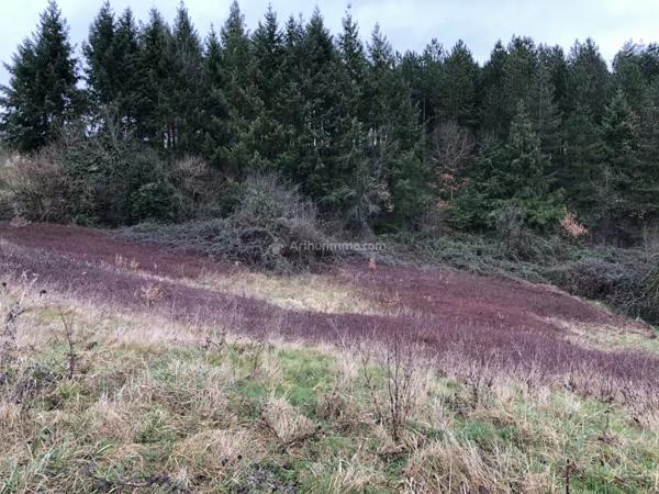 Vente Terrain 13500 m2 à Bellegarde-Marsal