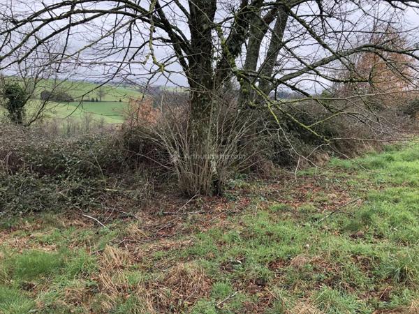 Vente Terrain 13500 m2 à Bellegarde-Marsal