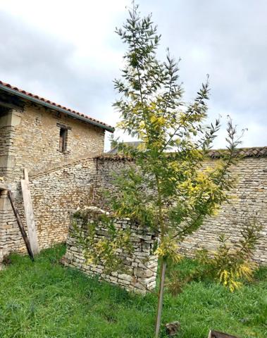 MAISON DE VILLAGE - ST JEAN DE SAUVES