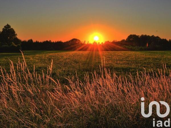 Terrain à vendre 1 243 m² Colmar