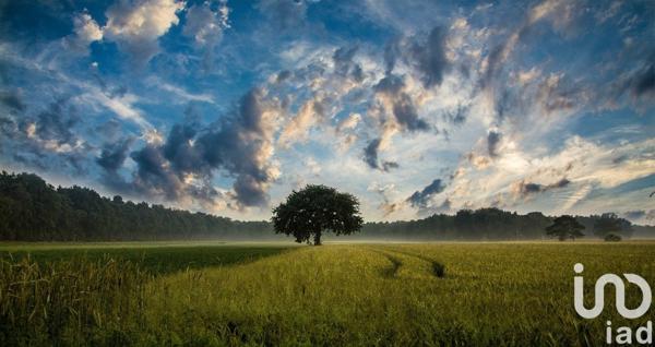 Terrain à vendre 1 243 m² Colmar