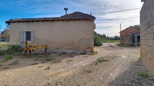 A vendre à Carpentras, secteur Peyrière - Saint Roch - Mas à rénover et terrain constructible : Donnez vie à votre projet!