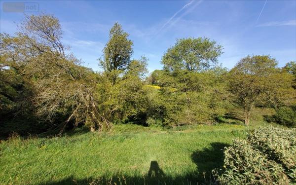 Maison individuelle à vendre à Carhaix-Plouguer dans le Finistère (29270), ref : 29066-1094010