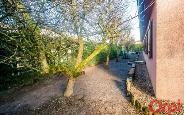 Maison à vendre    6 pièces •  Senozan