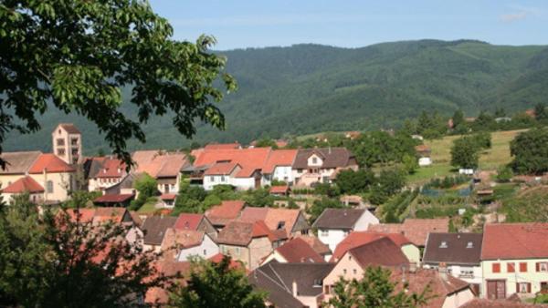 Terrain 1000 m² Libre d'architecte !