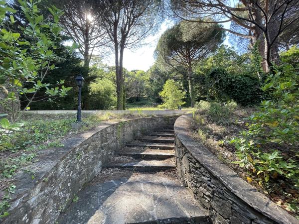 Terrain à vendre à La Garde-Freinet (83680) - Var