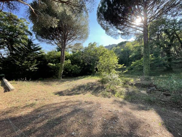 Terrain à vendre à La Garde-Freinet (83680) - Var