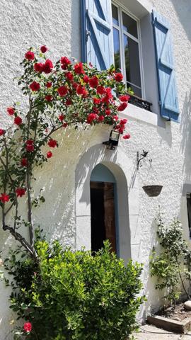 Oloron-Sainte-Marie (64400) À Oloron Sainte Marie, situation paradisiaque !