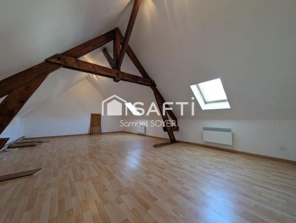 GRANDE MAISON INDIVIDUELLE, DEUX GARAGES, JARDIN