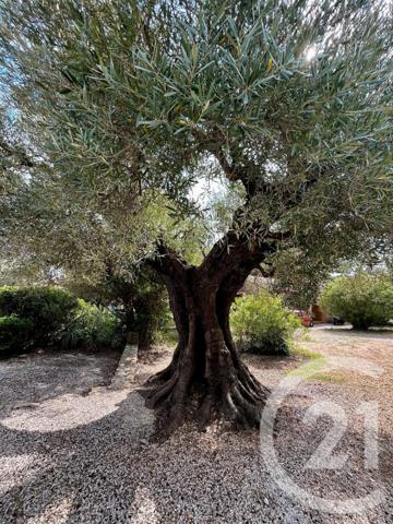 Maison à vendre  3 pièces - 60 m2 LA CADIERE D AZUR - 83