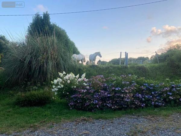 Maison à vendre à Lignol dans le Morbihan (56160), ref : 56075-2446