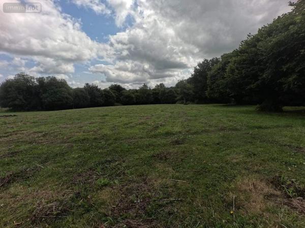 Maison à vendre à Lignol dans le Morbihan (56160), ref : 56075-2446