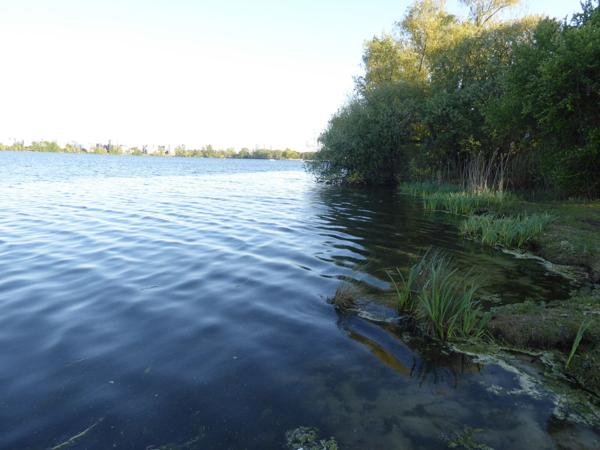 Terrain à bâtir dans un quatier calme