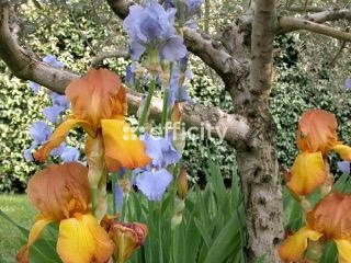 Maison 4 pièces - 153 m²