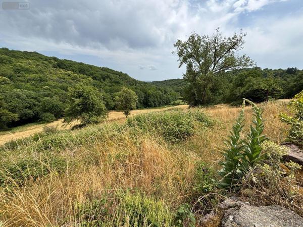 Propriété agricole à vendre à Le Bourg dans le Lot (46120), ref : 46030/PROP/540