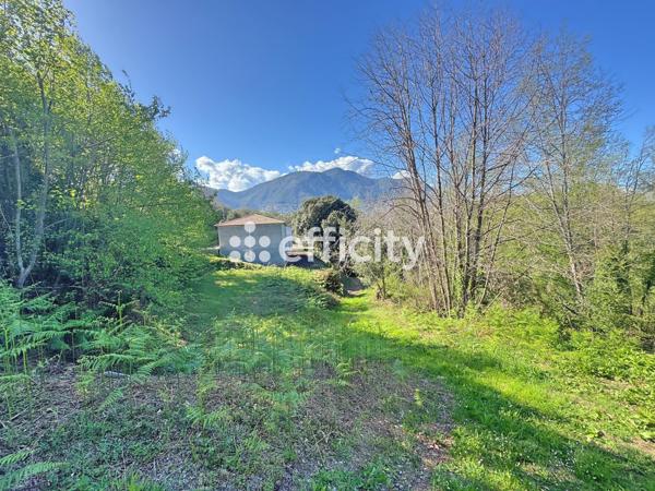 Terrain - 1500 m²