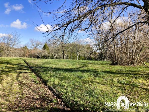 Vente Corps de ferme rénové - 7 pièces - 285m² - Dépendance - Entre Jarnac et Cognac