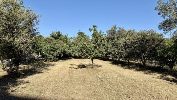 Vente / Terrain à Carpentras (84200)
